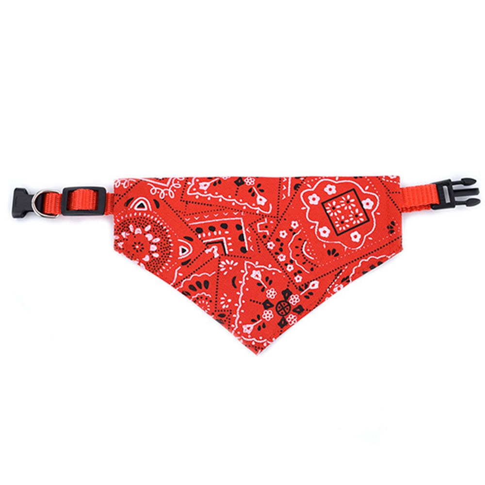 Bandana Coleira