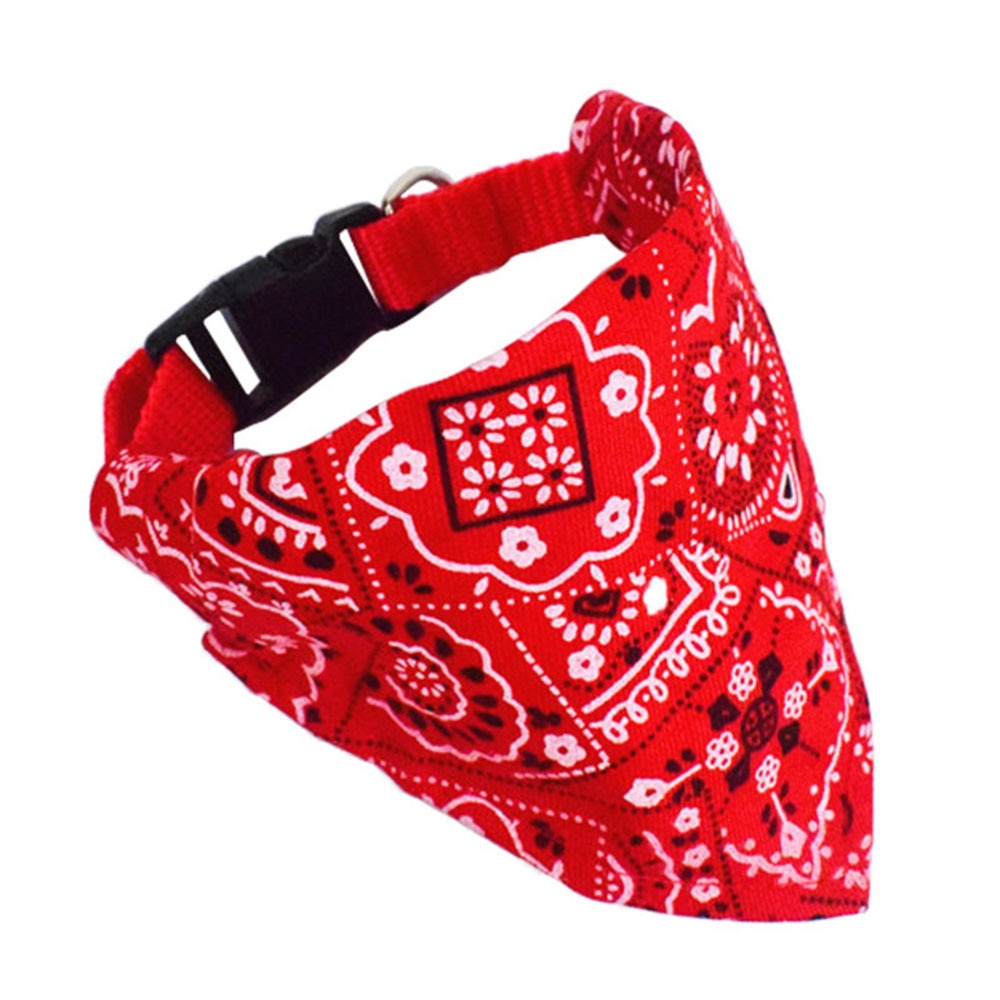 Bandana Coleira