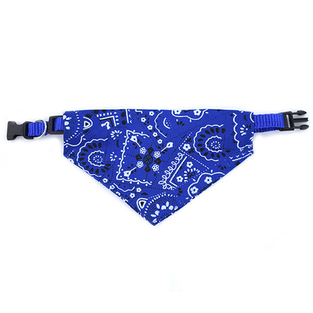 Bandana Coleira