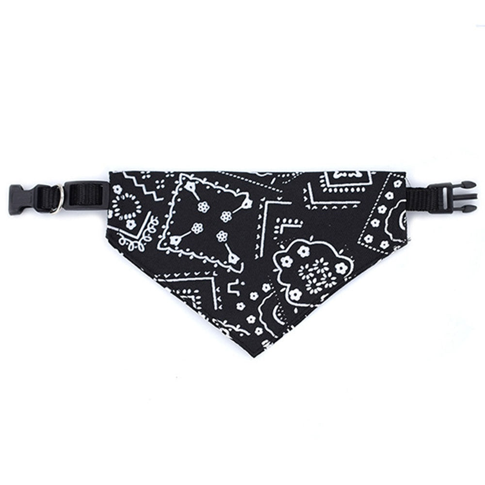 Bandana Coleira